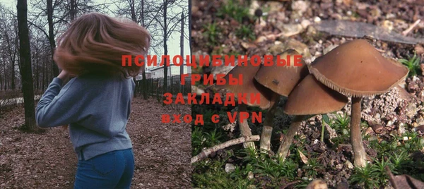 молекула духа Барнаул