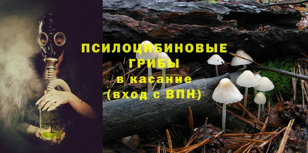 молекула духа Барнаул