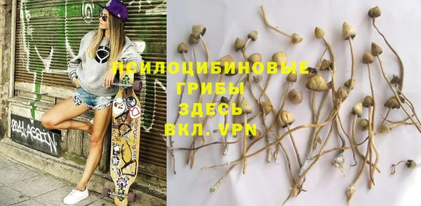 прущие крисы Ижевск