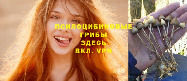 прущие крисы Ижевск