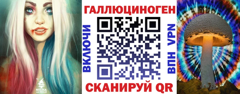 MEGA зеркало  Ногинск  Псилоцибиновые грибы прущие грибы  дарнет шоп 