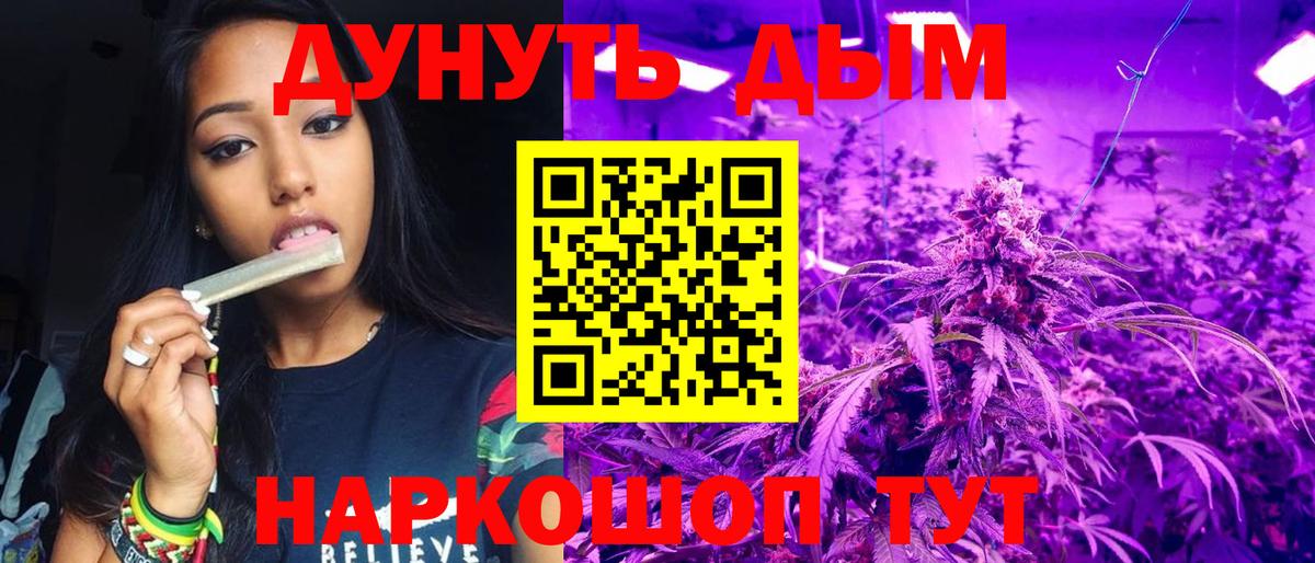 Шишки марихуана планчик  МАРИХУАНА MAZAR  Бошки марихуана семена  Ногинск 